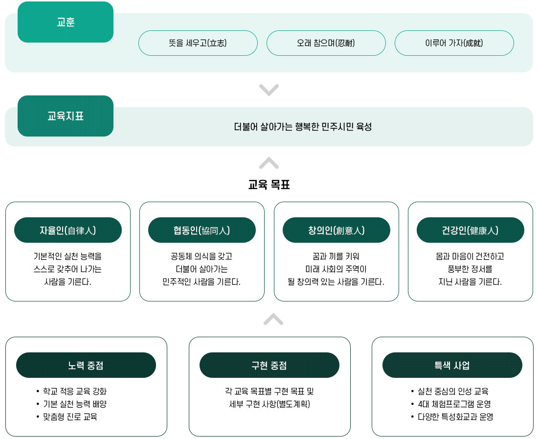 교육체계도 이미지